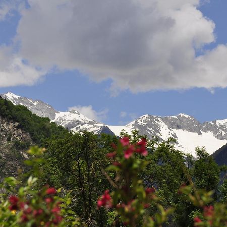 Chalet Schwarzenstein Κάμπο Τούρες Εξωτερικό φωτογραφία