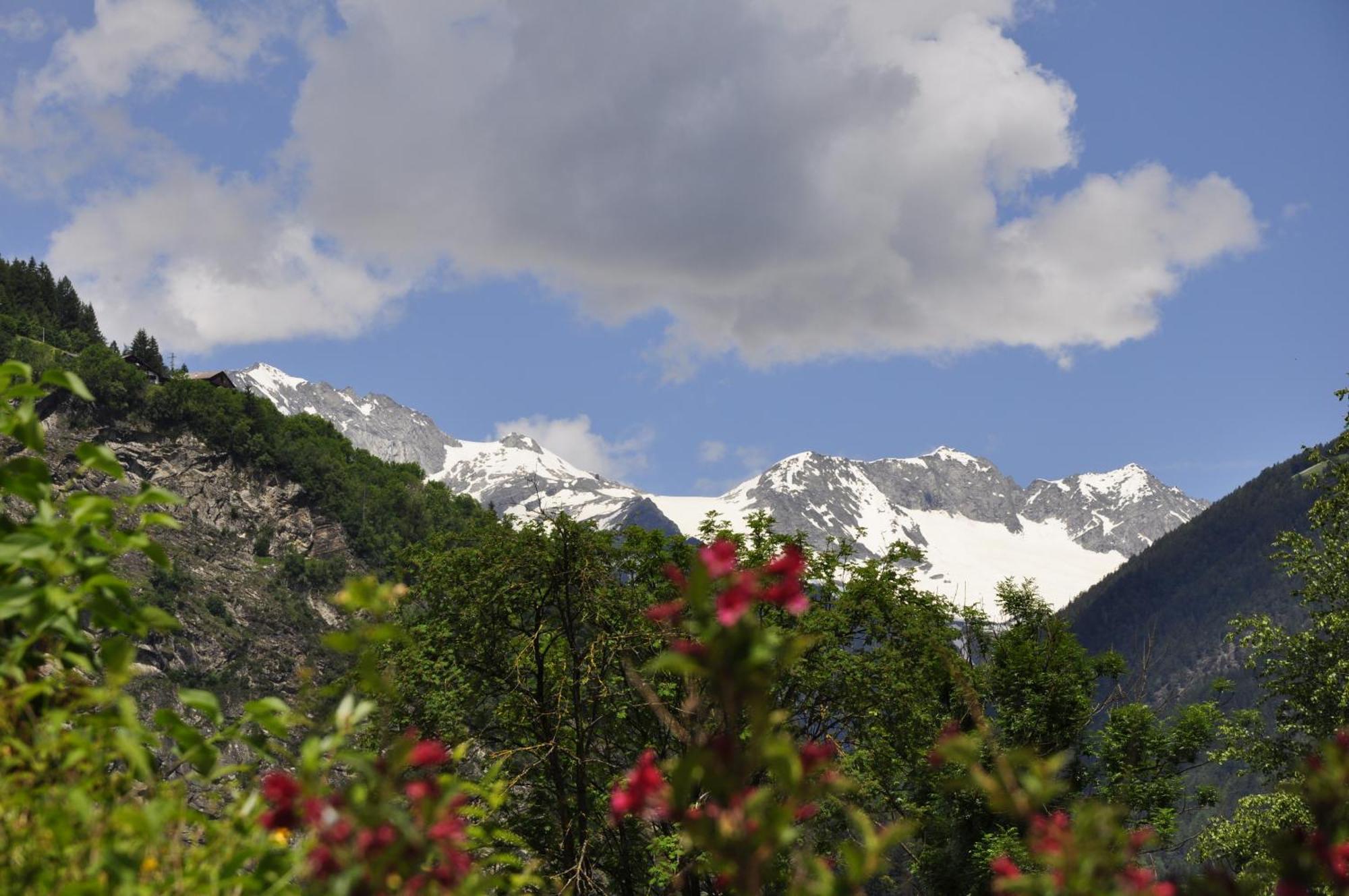 Chalet Schwarzenstein Κάμπο Τούρες Εξωτερικό φωτογραφία